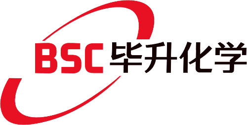 毕升化学（上海）有限公司